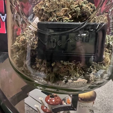 Fat Banana Automatic growlog timeline photo