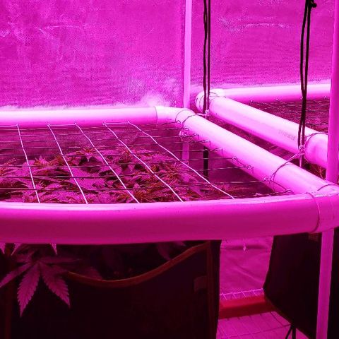 Durby 1 growlog timeline photo