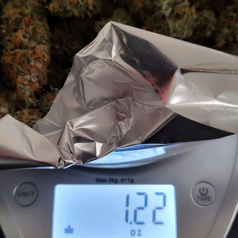 White Widow growlog timeline photo