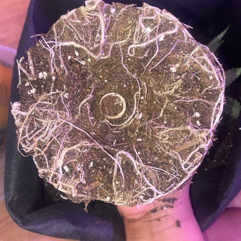 Unknown A growlog timeline photo