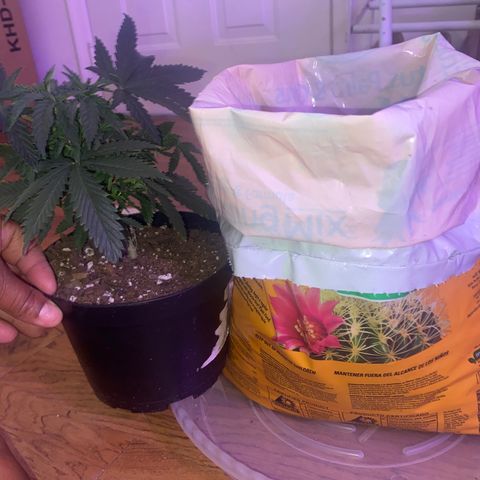 Unknown A growlog timeline photo