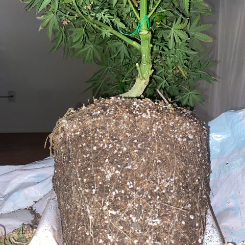 Unknown A growlog timeline photo