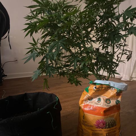 Unknown A growlog timeline photo