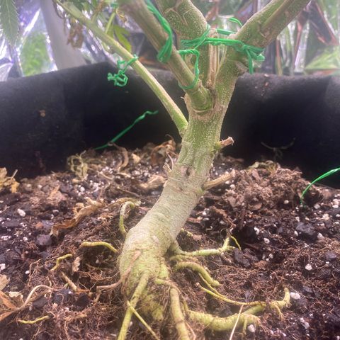 Unknown A growlog timeline photo