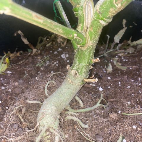 Unknown A growlog timeline photo