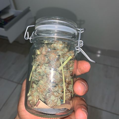 Bud love s2  growlog timeline photo