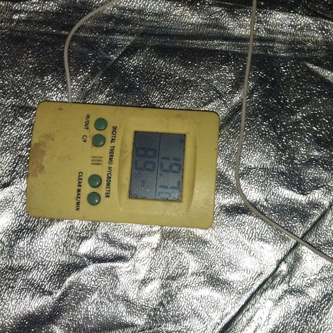 Condor growlog photo: 89% humedad
19 grados al final del periodo de luz