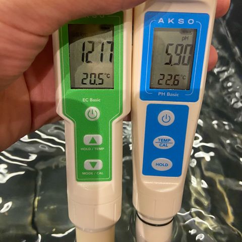 Critical Orange Punch growlog timeline photo