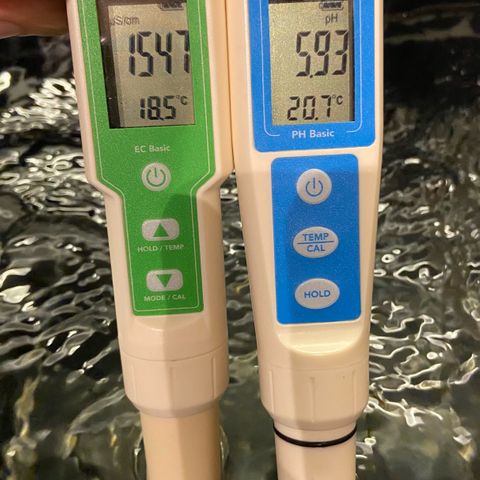 Critical Orange Punch growlog timeline photo
