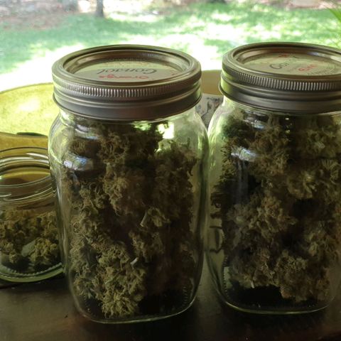Jacques Autos growlog timeline photo