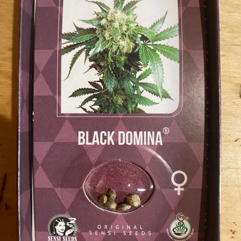 Black Domina   growlog timeline photo