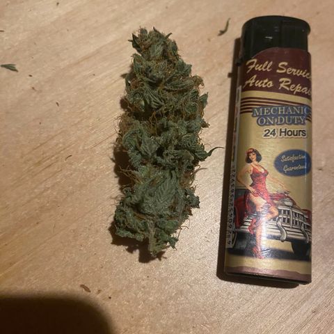 Black Domina   growlog timeline photo