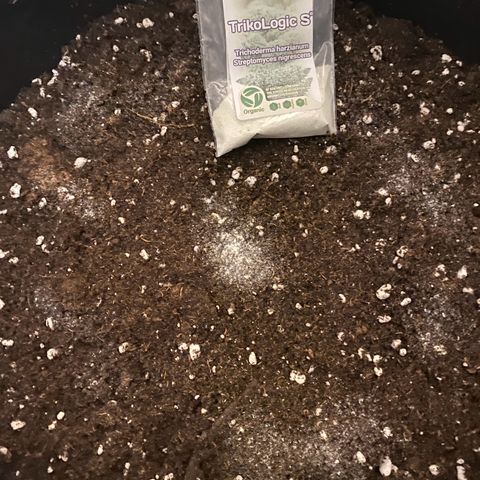 Fullgas! growlog timeline photo