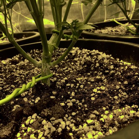 Fullgas! growlog timeline photo