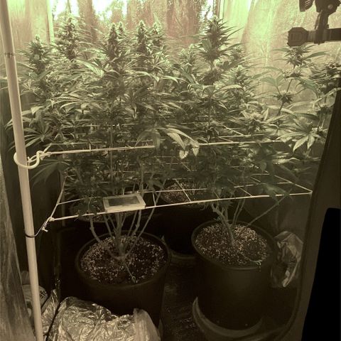 Fullgas! growlog timeline photo