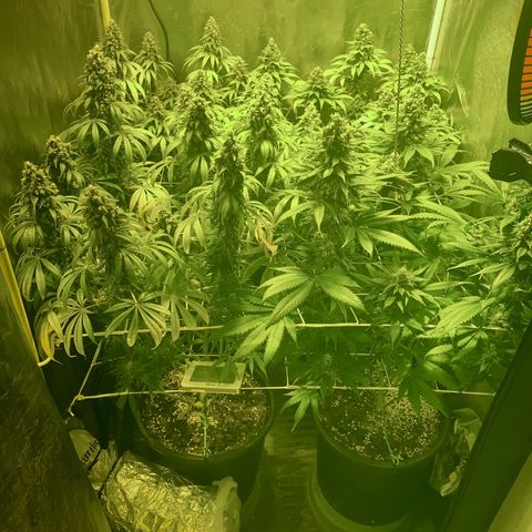 Fullgas! growlog timeline photo