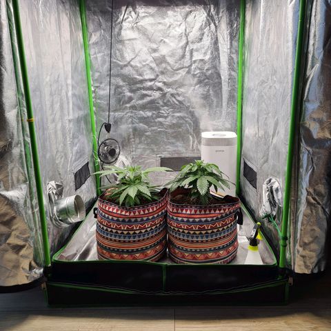 Kurochka growlog photo: 😉
