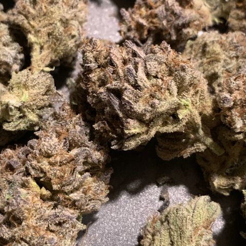 Double Grape  growlog timeline photo