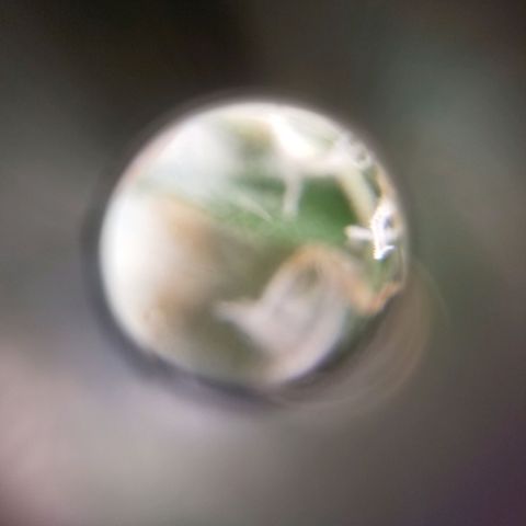 Unknown 1 growlog timeline photo