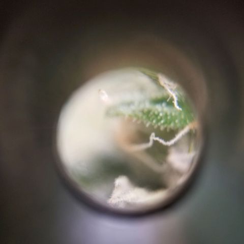 Unknown 1 growlog timeline photo