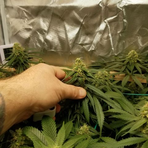Unknown 1 growlog timeline photo