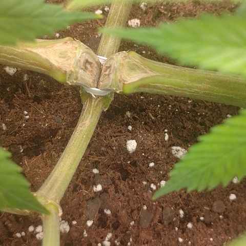 Mafalda growlog photo: Fotos del día ❤️🔥