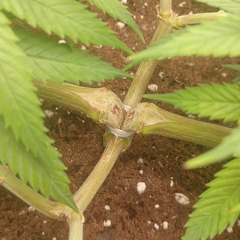 Mafalda growlog photo: Fotos del día ❤️🔥