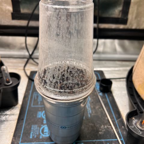 Froot Fuel - Speedrun Seeds growlog timeline photo