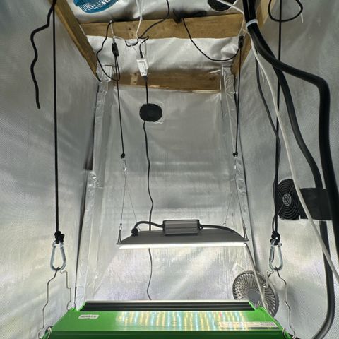 Superboof 2 growlog timeline photo
