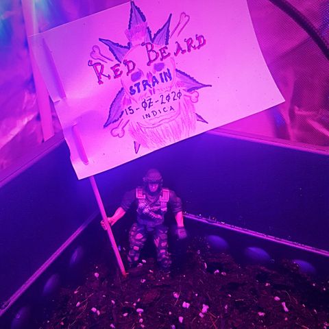 Project Redbeard #1 growlog photo: Now with flag bearer.