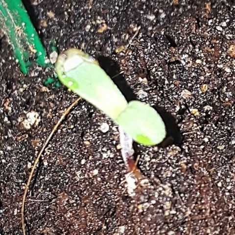 Project Redbeard Outdoors 2 growlog timeline photo