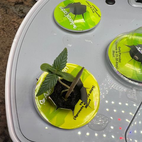 Mariah / Junie  growlog timeline photo