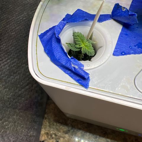 Mariah / Junie  growlog photo: Fresh water 