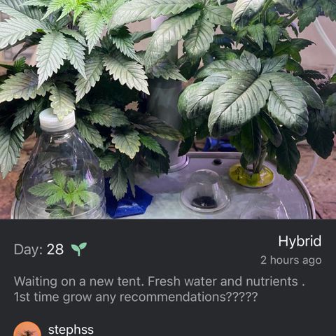 Mariah / Junie  growlog photo: Any comments ? 