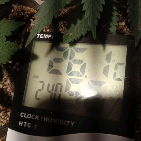 Genética desconocida growlog timeline photo