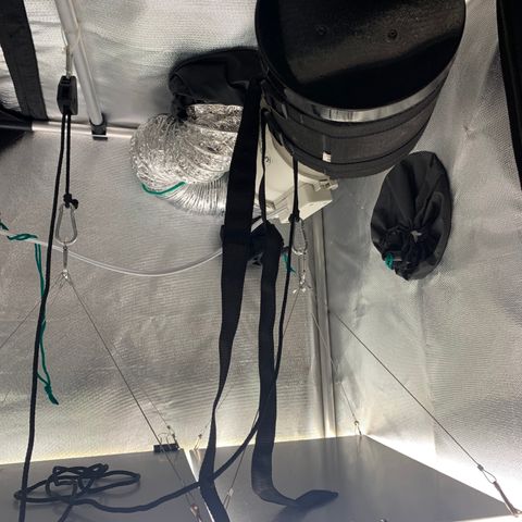 Planta 1 growlog timeline photo