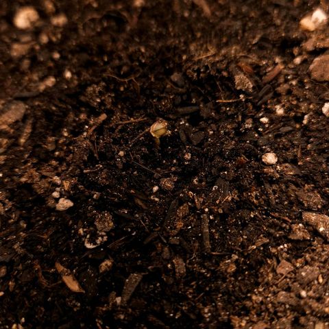 The smallest growlog photo: Aquele help tirando a casquinha gentilmente. 