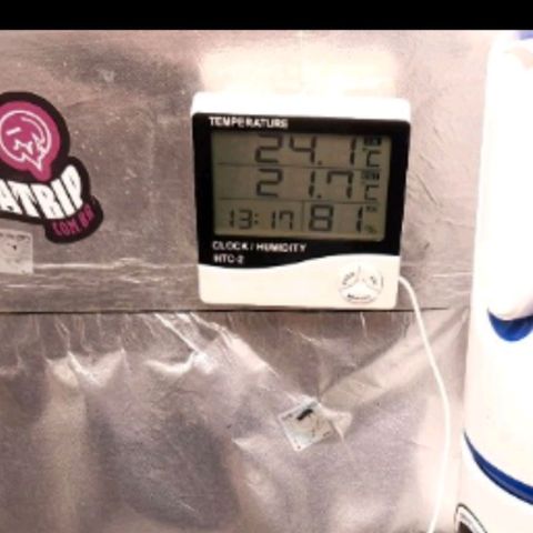 OG Kush Auto growlog timeline photo