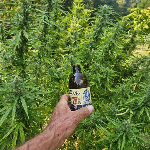 Nky Hollar growlog photo: NKY 1st in row