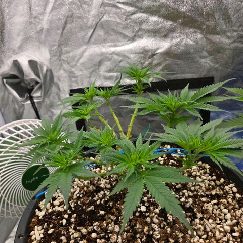Unkown  growlog timeline photo
