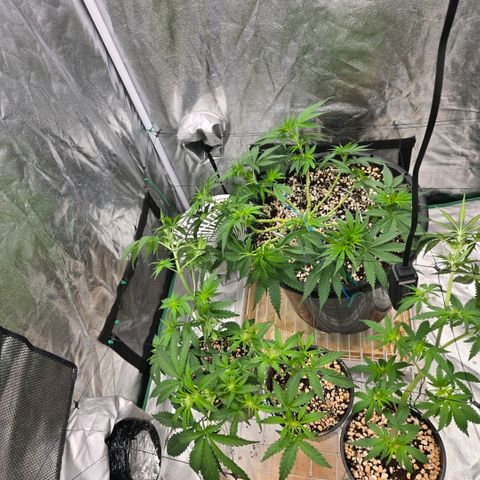 Unkown  growlog timeline photo