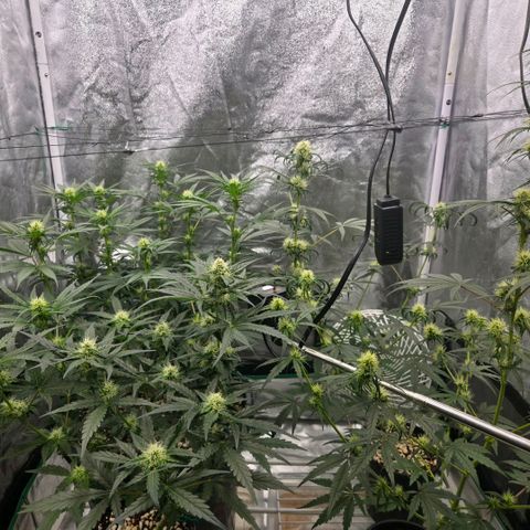 Unkown  growlog timeline photo