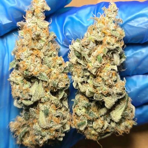 Unkown  growlog timeline photo