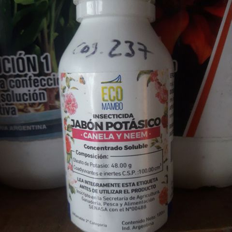 Ak 47 Madre growlog timeline photo