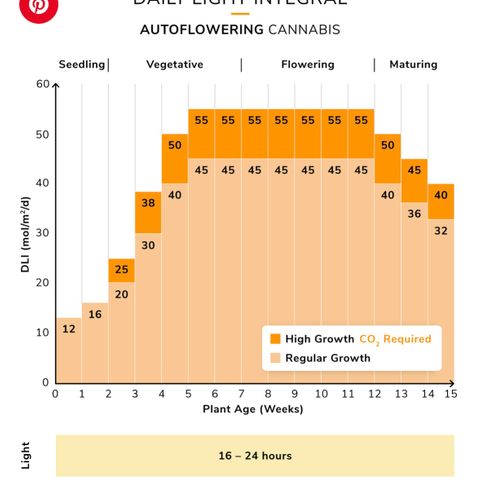 AH #1 growlog photo: DLI Tabelle zur Orientierung bei Autoflowers

Aktuell Woche 3 = empfohlener DLI von 20 - 25 