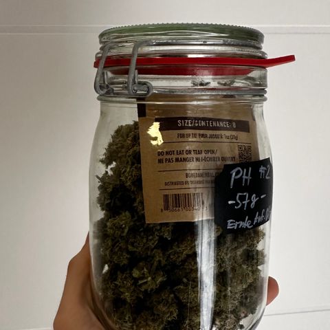 PH #2 growlog timeline photo
