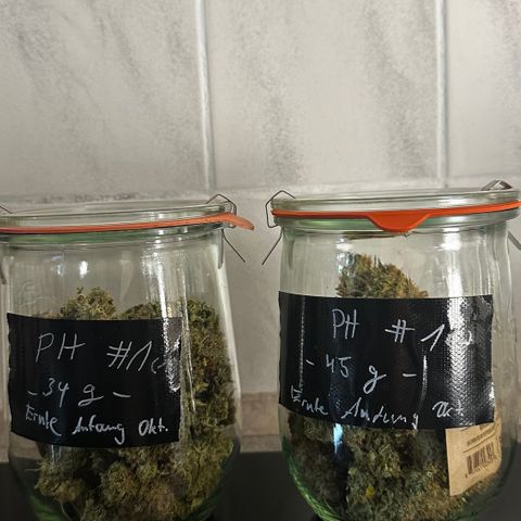 PH #1 growlog timeline photo