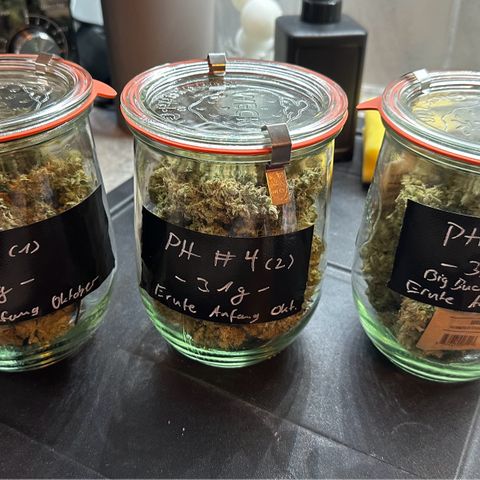 PH #4 growlog photo: 94,7g
