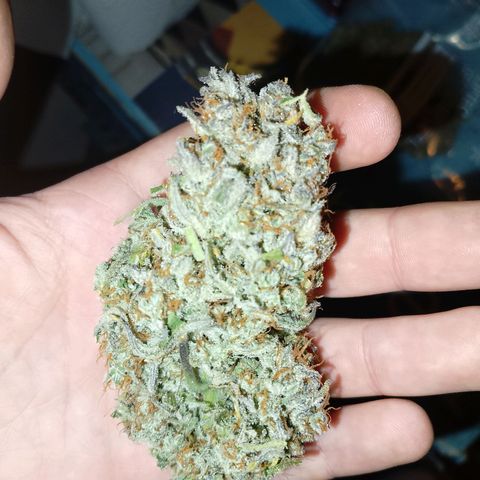 Banana purple punch, Lemon Cherry cookies, Papaya cookies  growlog timeline photo