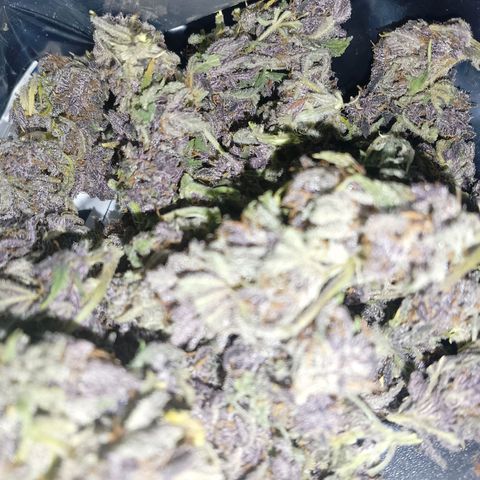 Banana purple punch, Lemon Cherry cookies, Papaya cookies  growlog photo: Banana purple punch 
